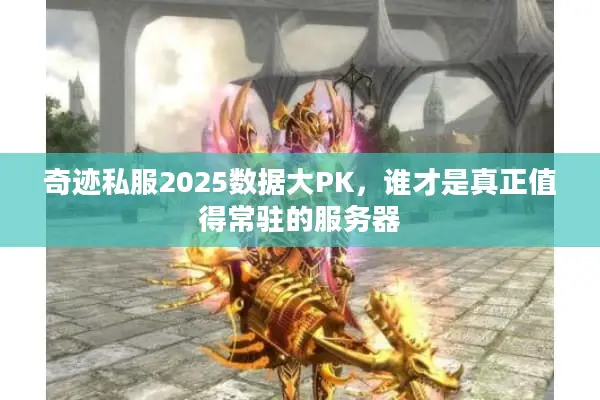 奇迹私服2025数据大PK，谁才是真正值得常驻的服务器