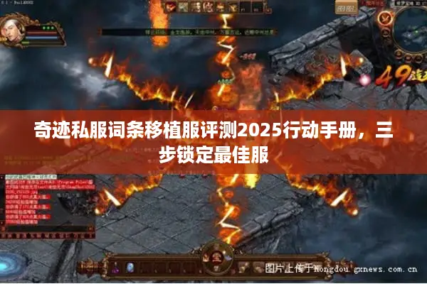 奇迹私服词条移植服评测2025行动手册,三步锁定最佳服 奇迹私服词条移植服评测2025行动手册,三步锁定最佳服