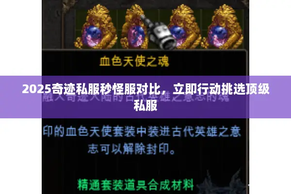 2025奇迹私服秒怪服对比,立即行动挑选顶级私服 2025奇迹私服秒怪服对比,立即行动挑选顶级私服