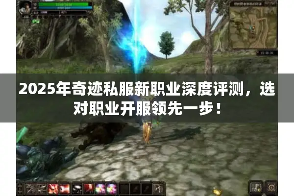 2025年奇迹私服新职业深度评测，选对职业开服领先一步！