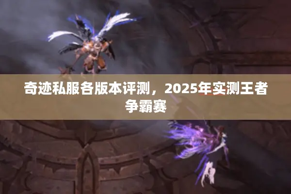 奇迹私服各版本评测，2025年实测王者争霸赛
