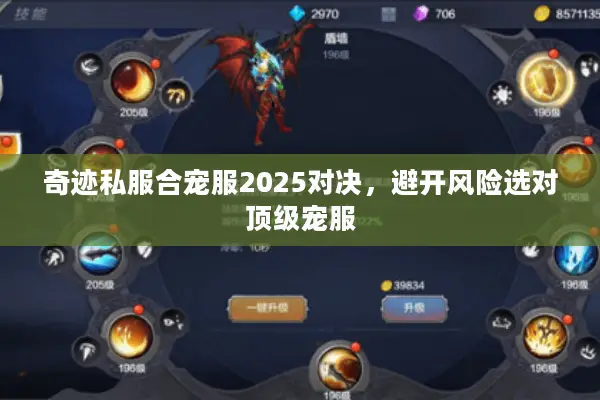奇迹私服合宠服2025对决,避开风险选对顶级宠服 奇迹私服合宠服2025对决,避开风险选对顶级宠服
