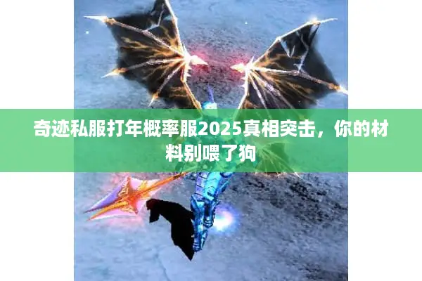 奇迹私服打年概率服2025真相突击，你的材料别喂了狗