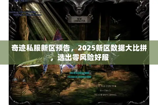 奇迹私服新区预告，2025新区数据大比拼，选出零风险好服