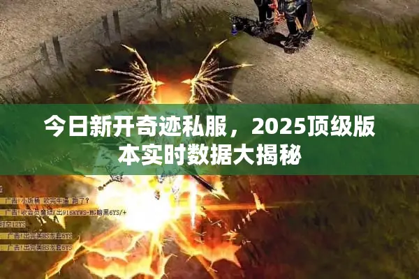 今日新开奇迹私服，2025顶级版本实时数据大揭秘