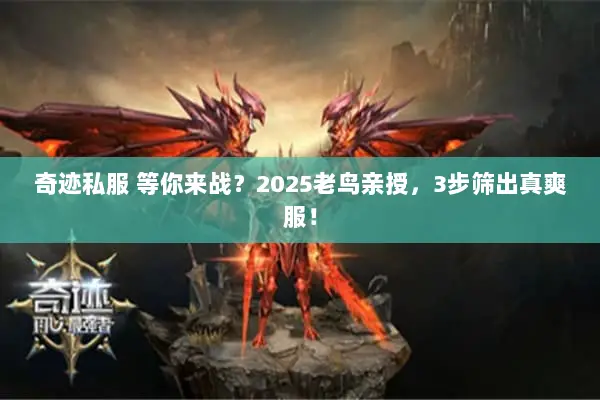 奇迹私服 等你来战？2025老鸟亲授，3步筛出真爽服！