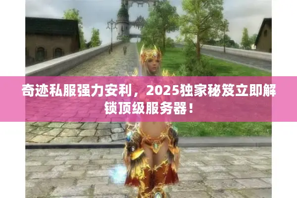 奇迹私服强力安利，2025独家秘笈立即解锁顶级服务器！