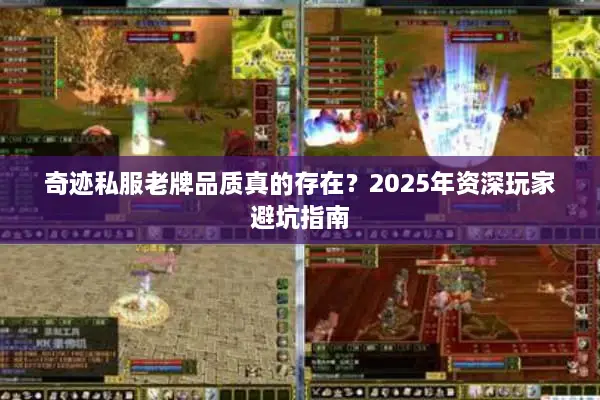 奇迹私服老牌品质真的存在？2025年资深玩家避坑指南