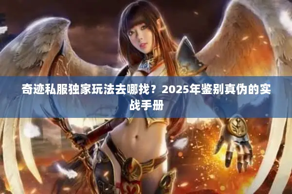 奇迹私服独家玩法去哪找？2025年鉴别真伪的实战手册