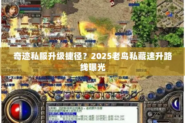 奇迹私服升级捷径？2025老鸟私藏速升路线曝光
