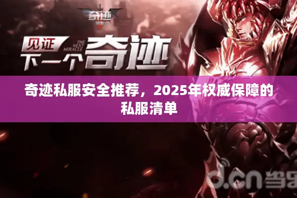 奇迹私服安全推荐，2025年权威保障的私服清单