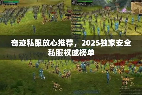 奇迹私服放心推荐，2025独家安全私服权威榜单