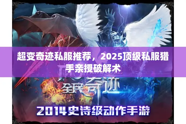 超变奇迹私服推荐，2025顶级私服猎手亲授破解术