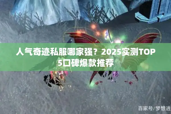 人气奇迹私服哪家强？2025实测TOP5口碑爆款推荐