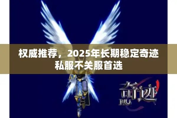 权威推荐，2025年长期稳定奇迹私服不关服首选