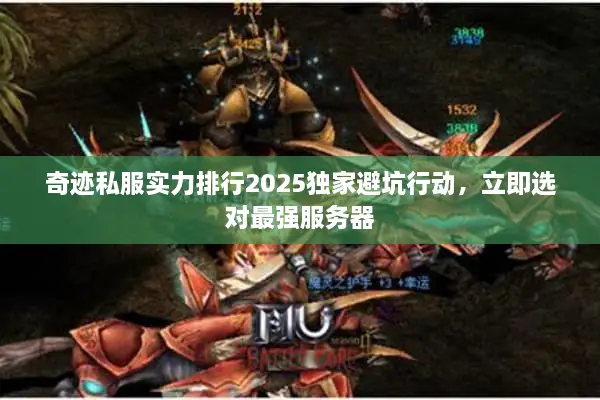 奇迹私服实力排行2025独家避坑行动，立即选对最强服务器
