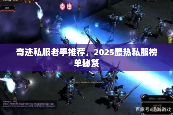 奇迹私服老手推荐，2025最热私服榜单秘笈