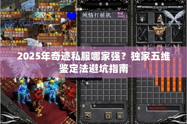 2025年奇迹私服哪家强？独家五维鉴定法避坑指南
