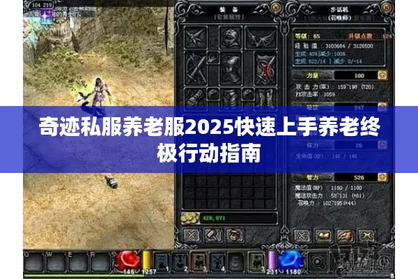 奇迹私服养老服2025快速上手养老终极行动指南