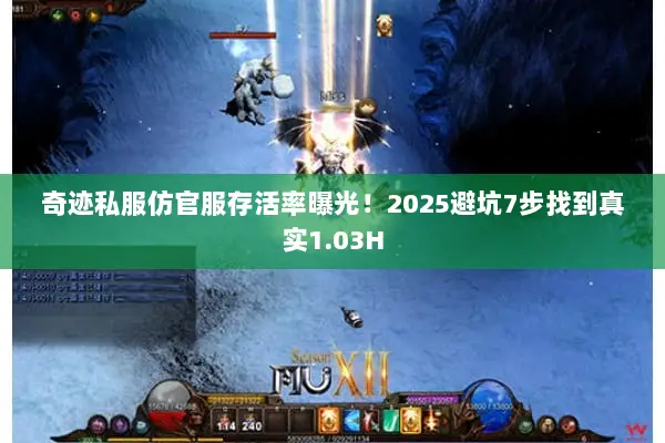 奇迹私服仿官服存活率曝光!2025避坑7步找到真实1.03H 奇迹私服仿官服存活率曝光!2025避坑7步找到真实1.03H