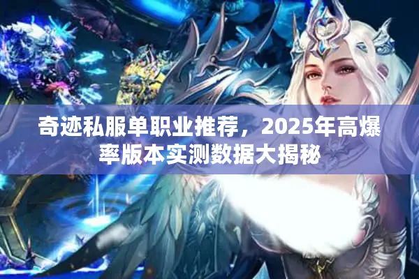 奇迹私服单职业推荐，2025年高爆率版本实测数据大揭秘