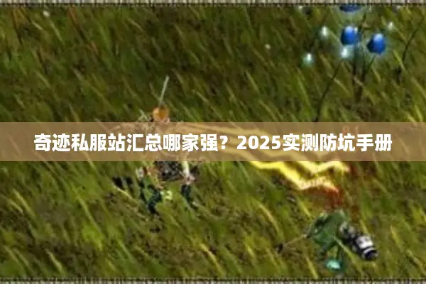 奇迹私服站汇总哪家强？2025实测防坑手册