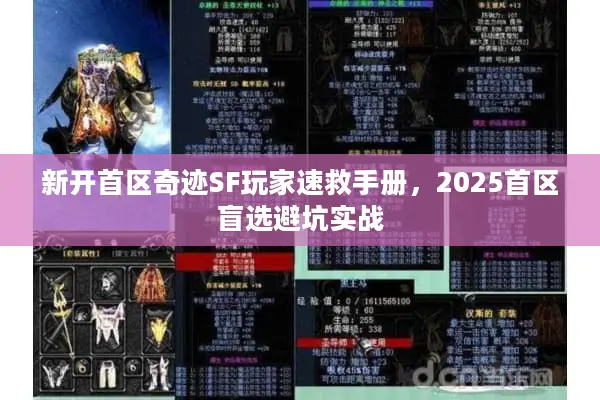 新开首区奇迹SF玩家速救手册，2025首区盲选避坑实战