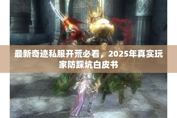 最新奇迹私服开荒必看，2025年真实玩家防踩坑白皮书