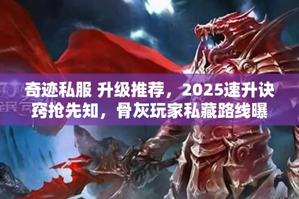 奇迹私服 升级推荐，2025速升诀窍抢先知，骨灰玩家私藏路线曝光
