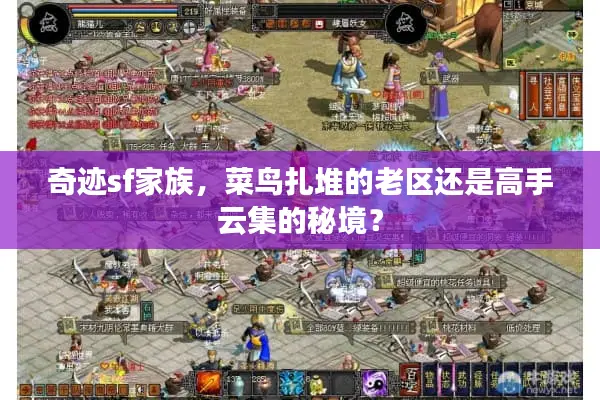 奇迹sf家族，菜鸟扎堆的老区还是高手云集的秘境？