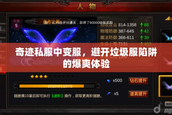 奇迹私服中变服，避开垃圾服陷阱的爆爽体验