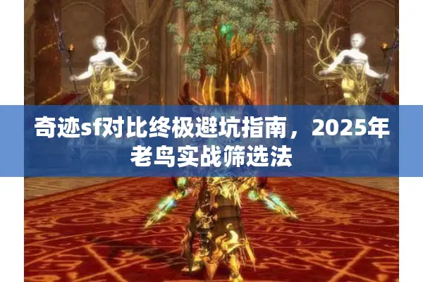 奇迹sf对比终极避坑指南，2025年老鸟实战筛选法