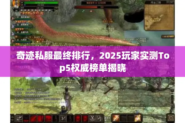 奇迹私服最终排行，2025玩家实测Top5权威榜单揭晓