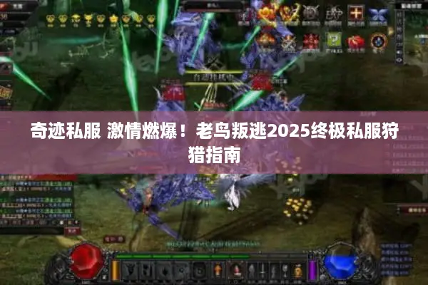 奇迹私服 激情燃爆!老鸟叛逃2025终极私服狩猎指南 奇迹私服 激情燃爆!老鸟叛逃2025终极私服狩猎指南