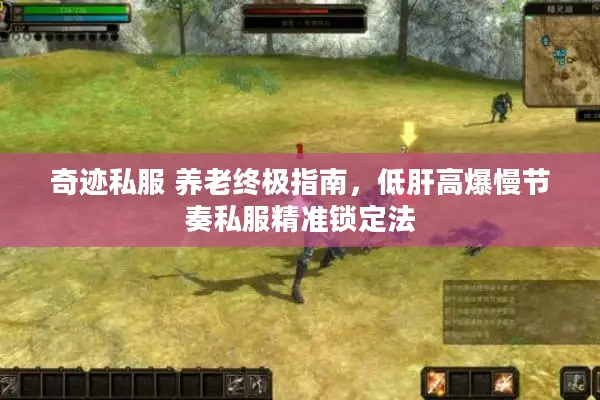 奇迹私服 养老终极指南,低肝高爆慢节奏私服精准锁定法 奇迹私服 养老终极指南,低肝高爆慢节奏私服精准锁定法