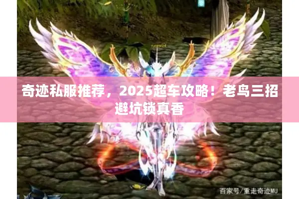 奇迹私服推荐，2025超车攻略！老鸟三招避坑锁真香