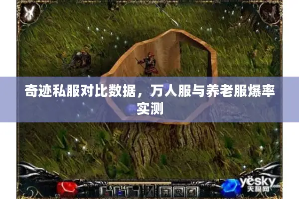 奇迹私服对比数据，万人服与养老服爆率实测