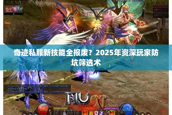 奇迹私服新技能全报废？2025年资深玩家防坑筛选术