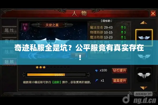 奇迹私服全是坑？公平服竟有真实存在！
