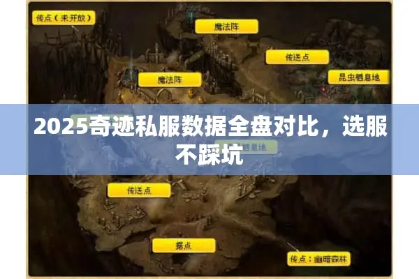 2025奇迹私服数据全盘对比，选服不踩坑
