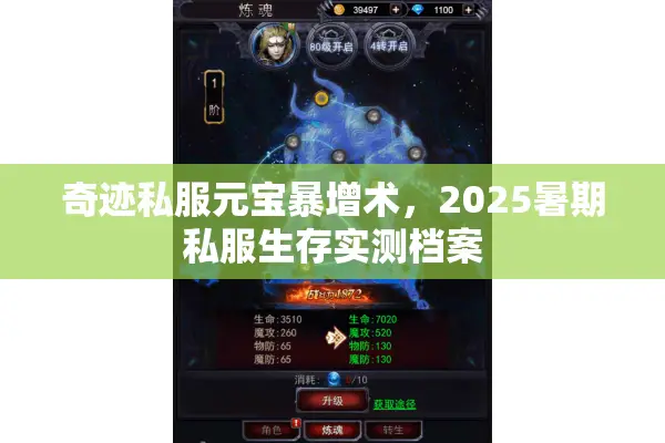 奇迹私服元宝暴增术，2025暑期私服生存实测档案