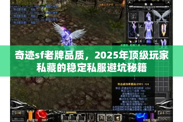 奇迹sf老牌品质，2025年顶级玩家私藏的稳定私服避坑秘籍