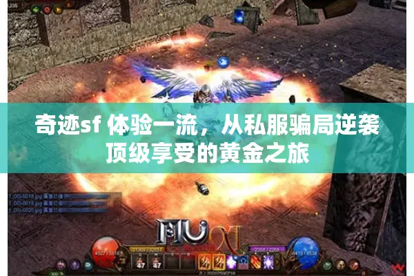 奇迹sf 体验一流，从私服骗局逆袭顶级享受的黄金之旅