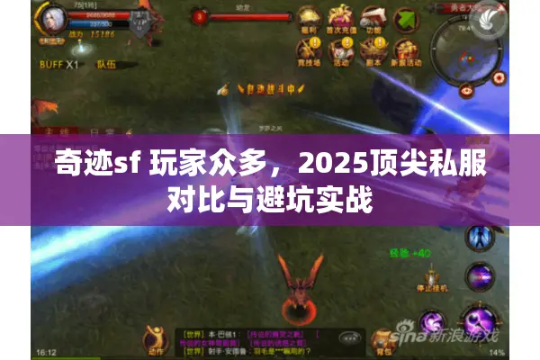 奇迹sf 玩家众多，2025顶尖私服对比与避坑实战