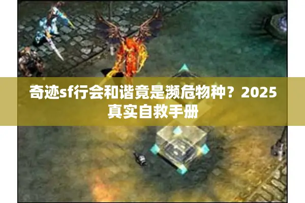 奇迹sf行会和谐竟是濒危物种？2025真实自救手册