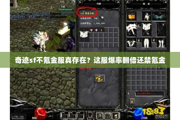 奇迹sf不氪金服真存在？这服爆率翻倍还禁氪金