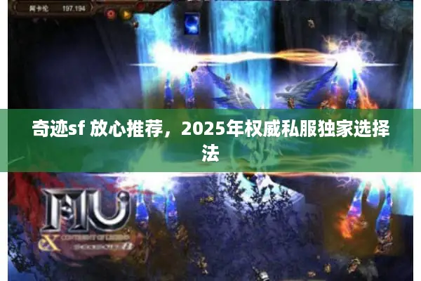奇迹sf 放心推荐，2025年权威私服独家选择法