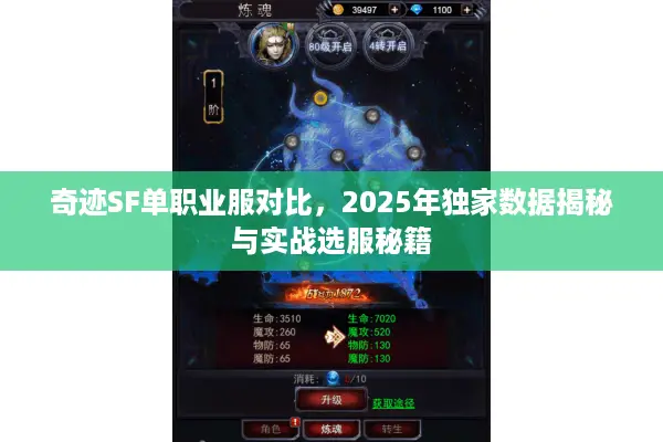 奇迹SF单职业服对比，2025年独家数据揭秘与实战选服秘籍