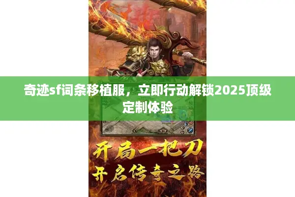 奇迹sf词条移植服，立即行动解锁2025顶级定制体验