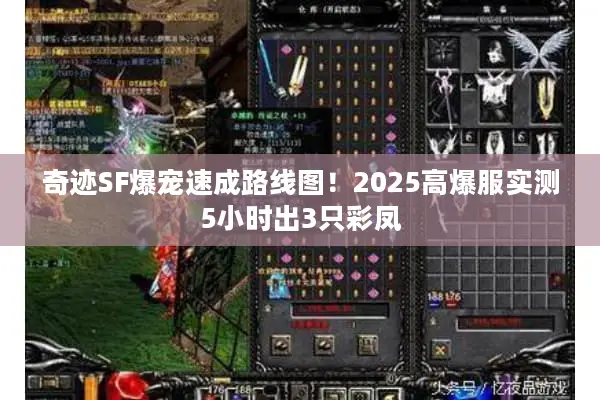 奇迹SF爆宠速成路线图！2025高爆服实测5小时出3只彩凤
